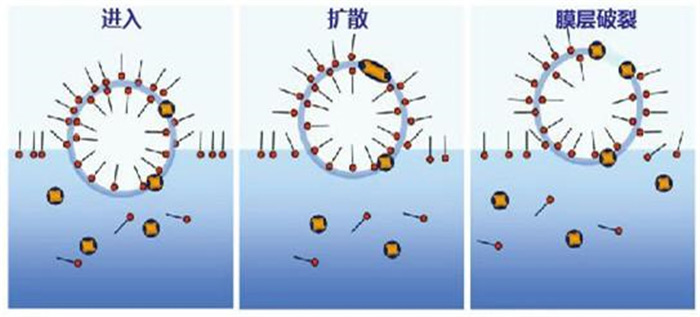 (圖:工業(yè)消泡劑除泡原理)