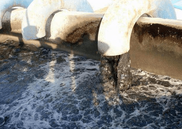 (圖:養殖場污水泡沫處理池)